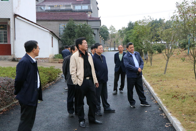 照片 001_副本.jpg