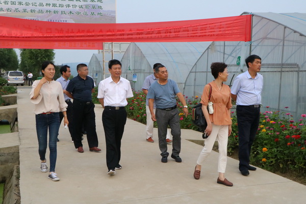 网IMG_1246.jpg