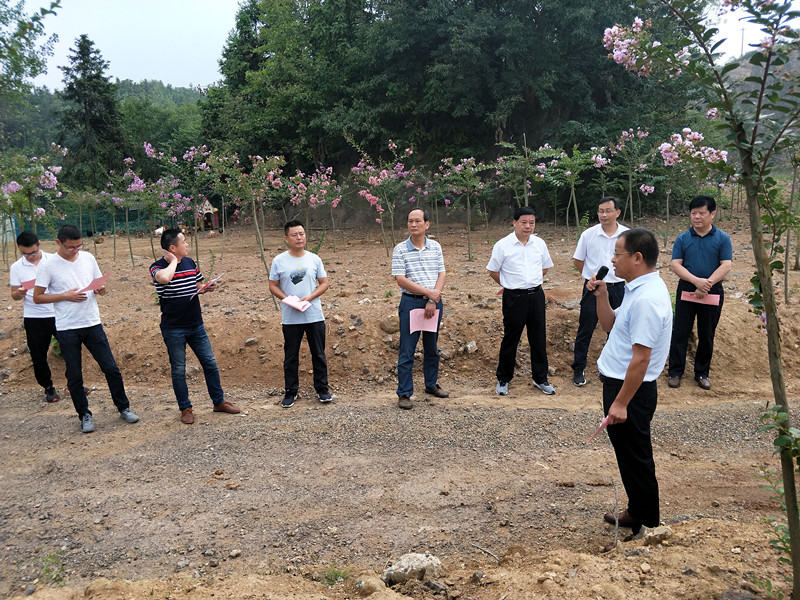 IMG20190905161341_副本.jpg
