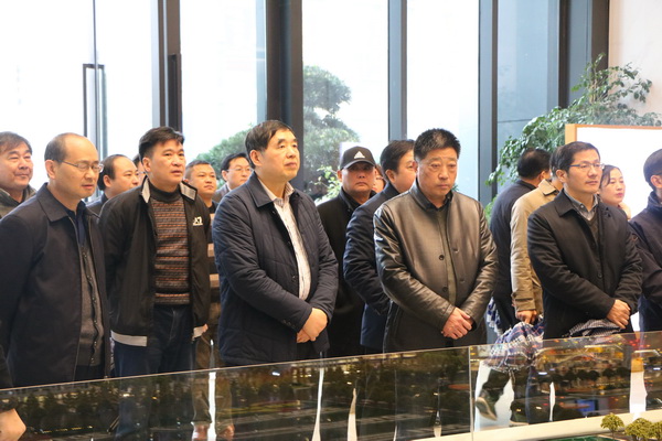 网2 IMG_4504.jpg