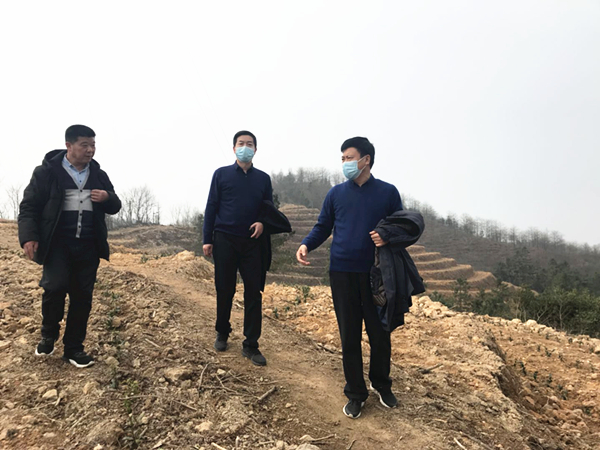 微信图片_2020031715490318.jpg